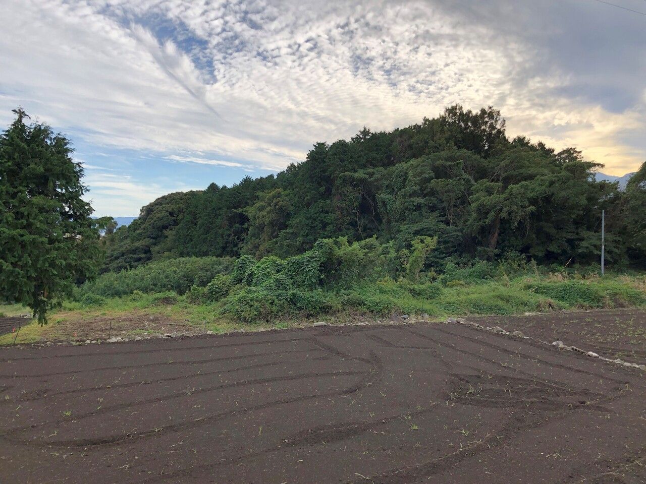 亀峯山古墳・東側側面。前ぽ後円墳であれば