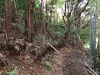 亀峯山古墳後円部（？）西側裾