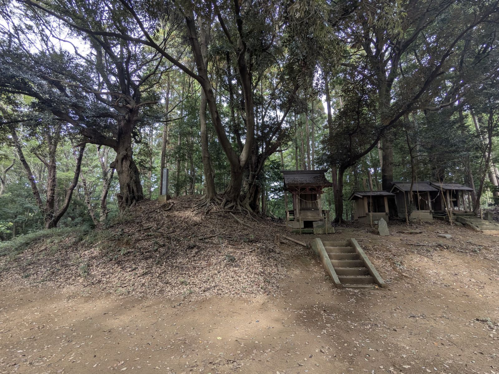 南方向から見た前方部