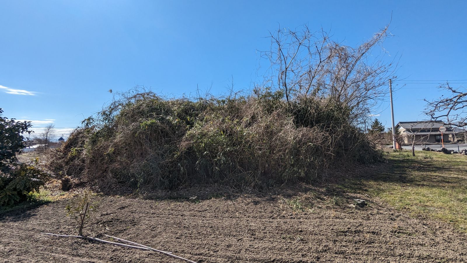 東方向から見た墳丘