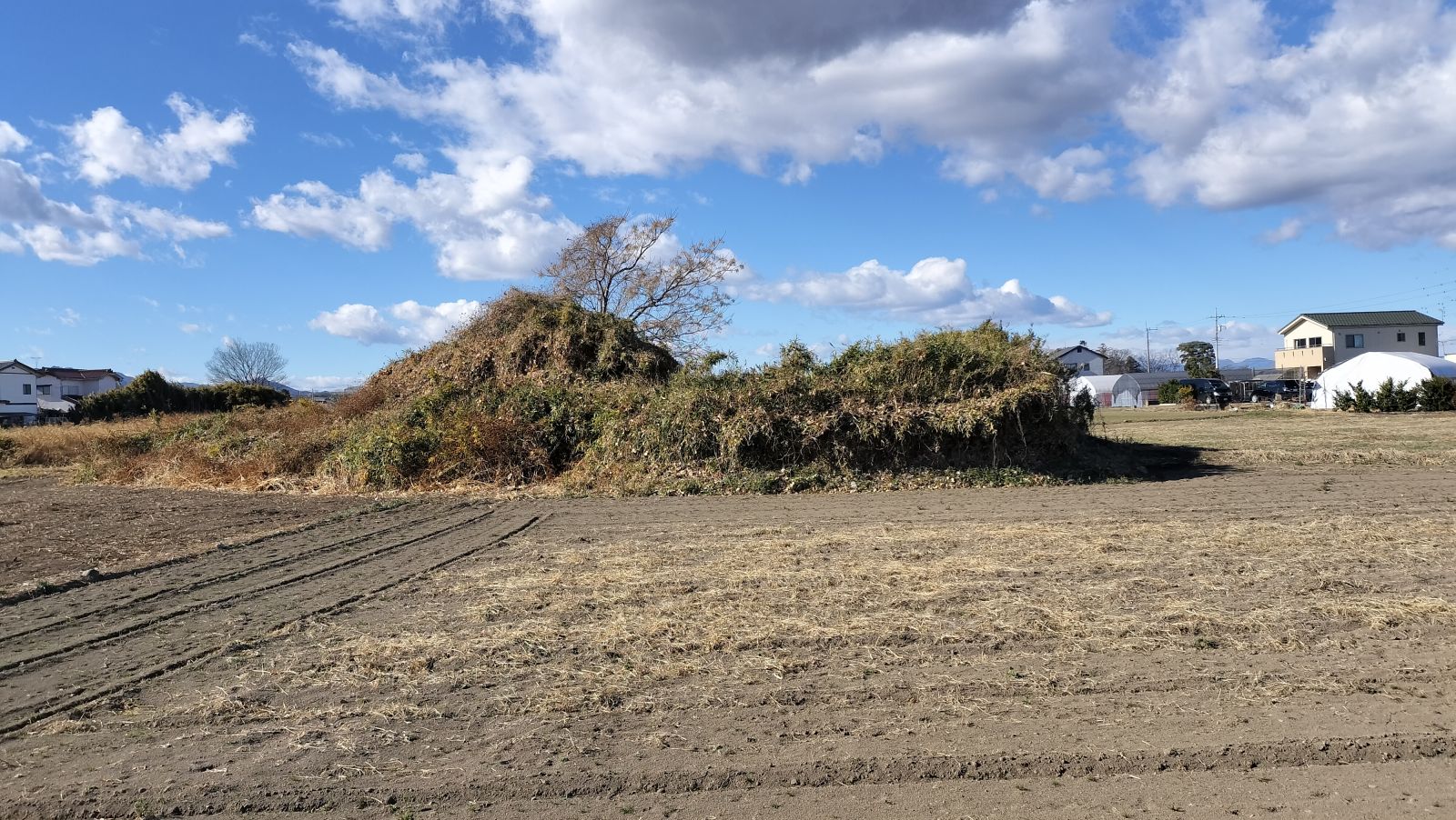 東方向から見た墳丘