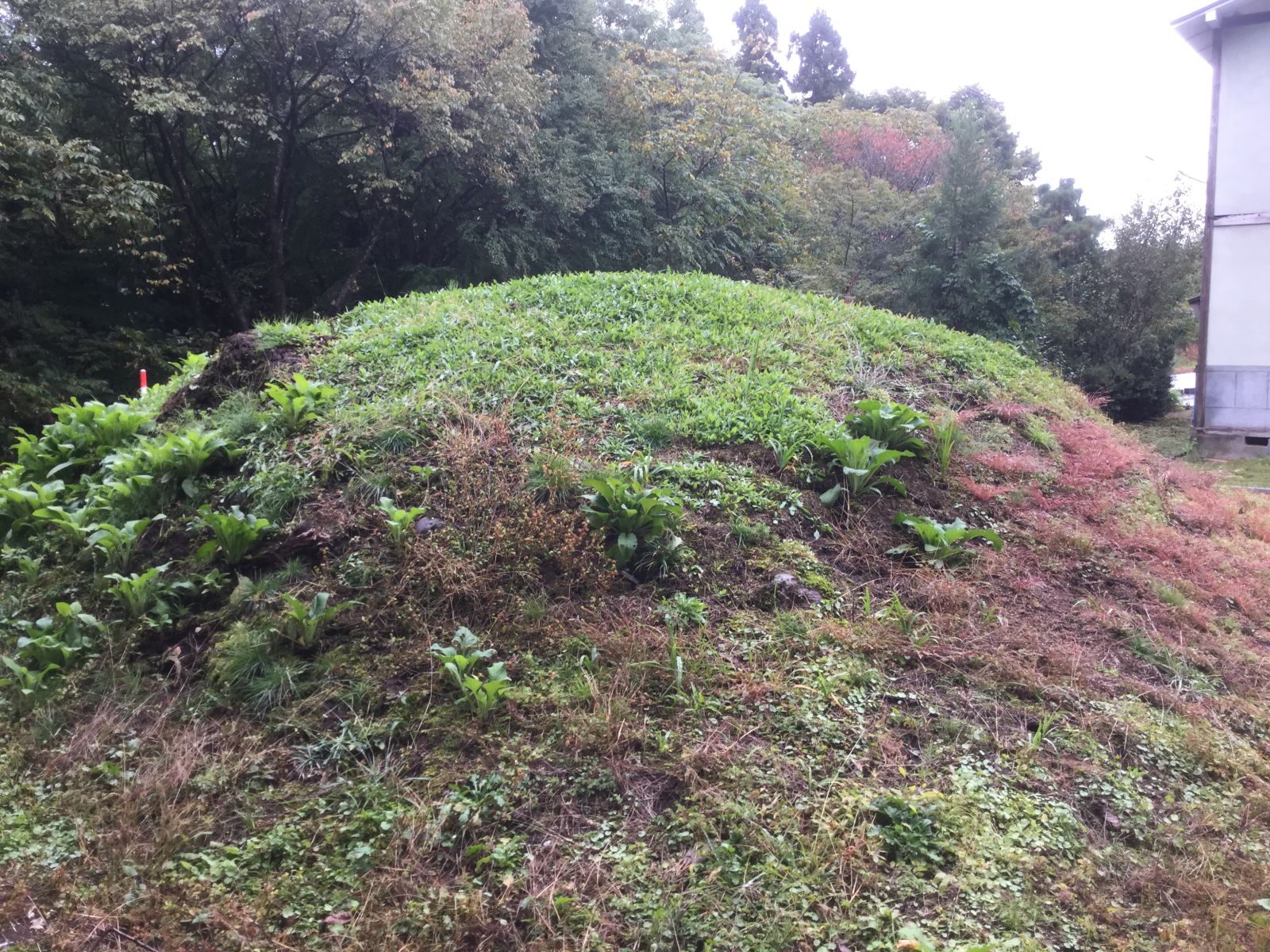 北西側より見る