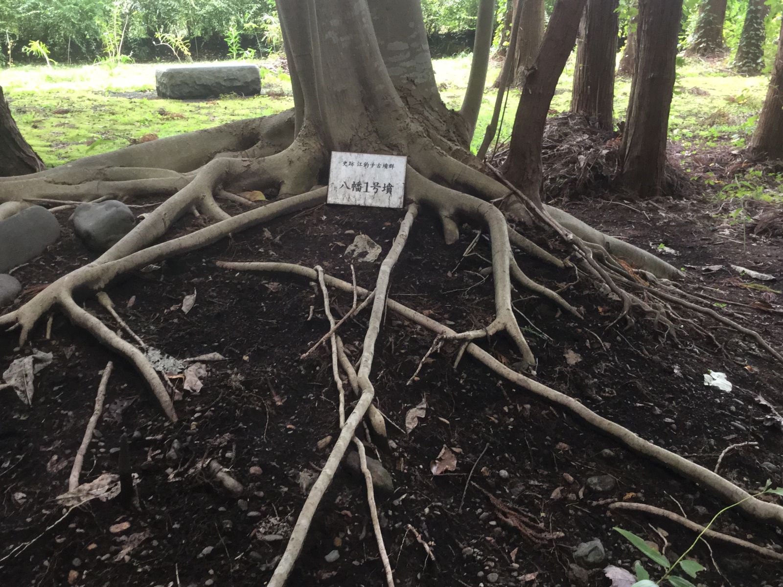 八幡1号墳