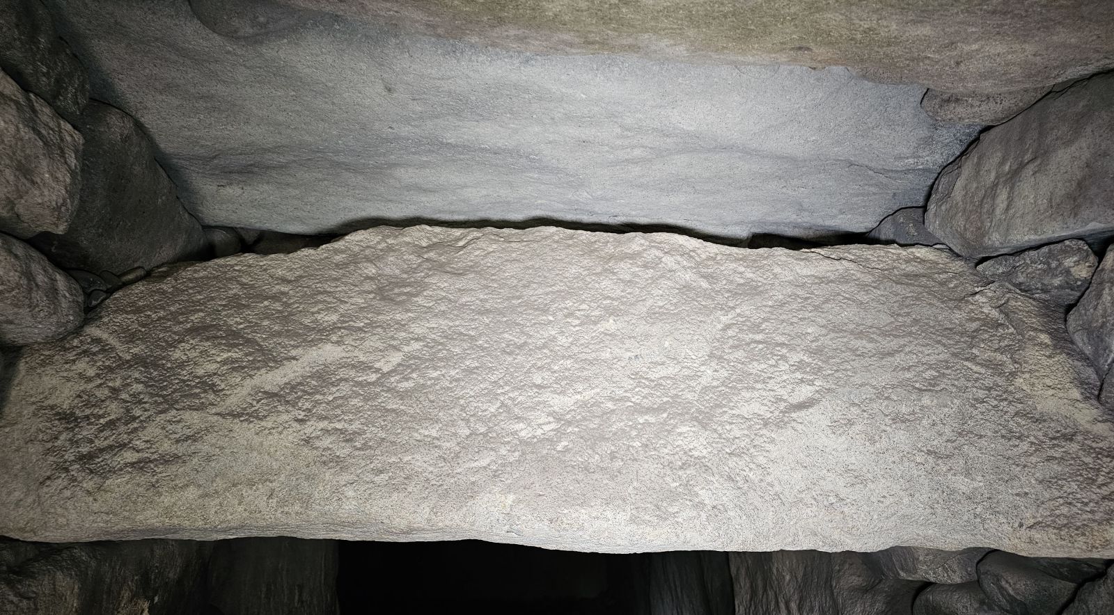 天井付近の横に渡した岩