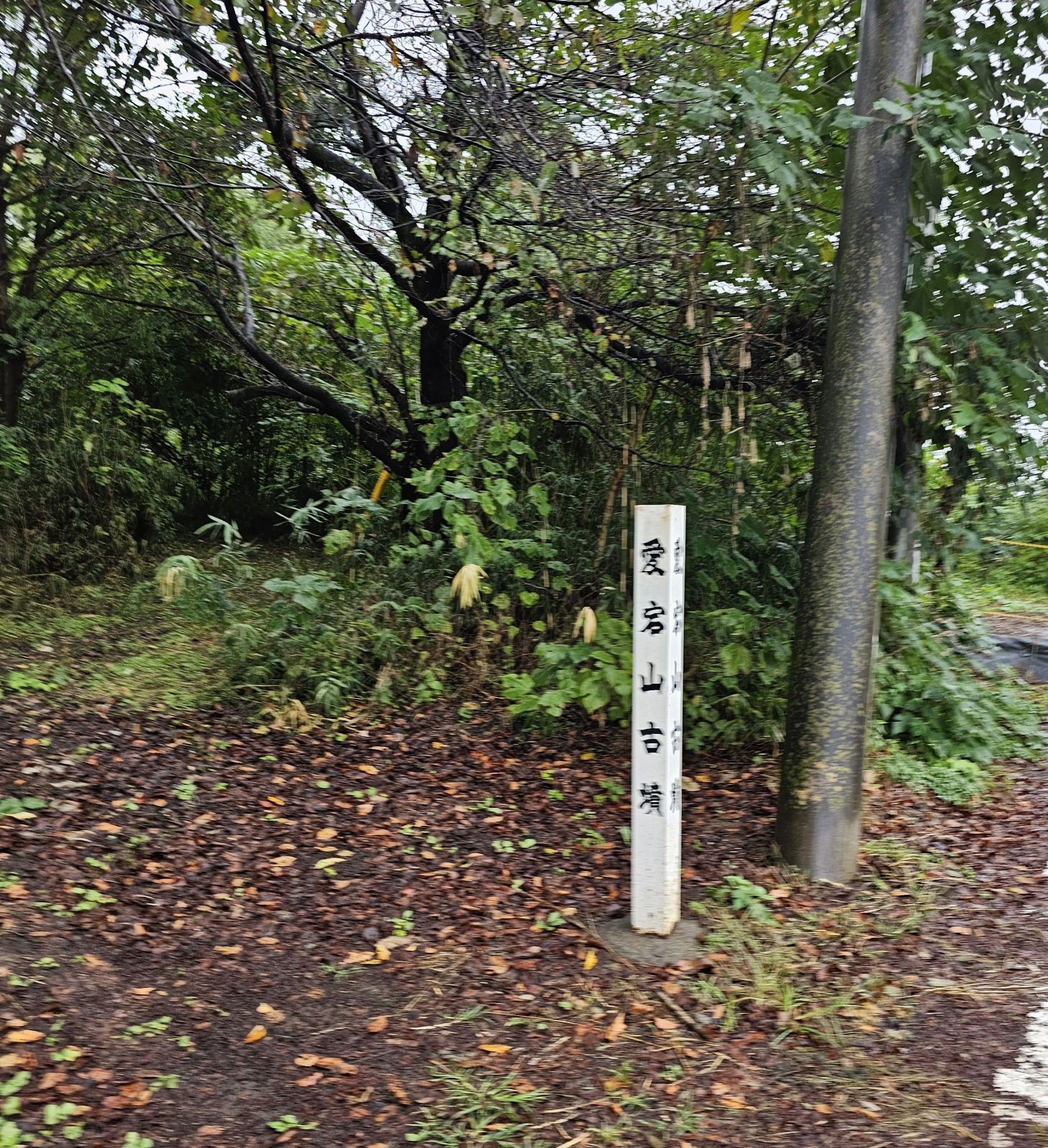 ここを左奥に入ります