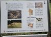 説明看板 説明看板