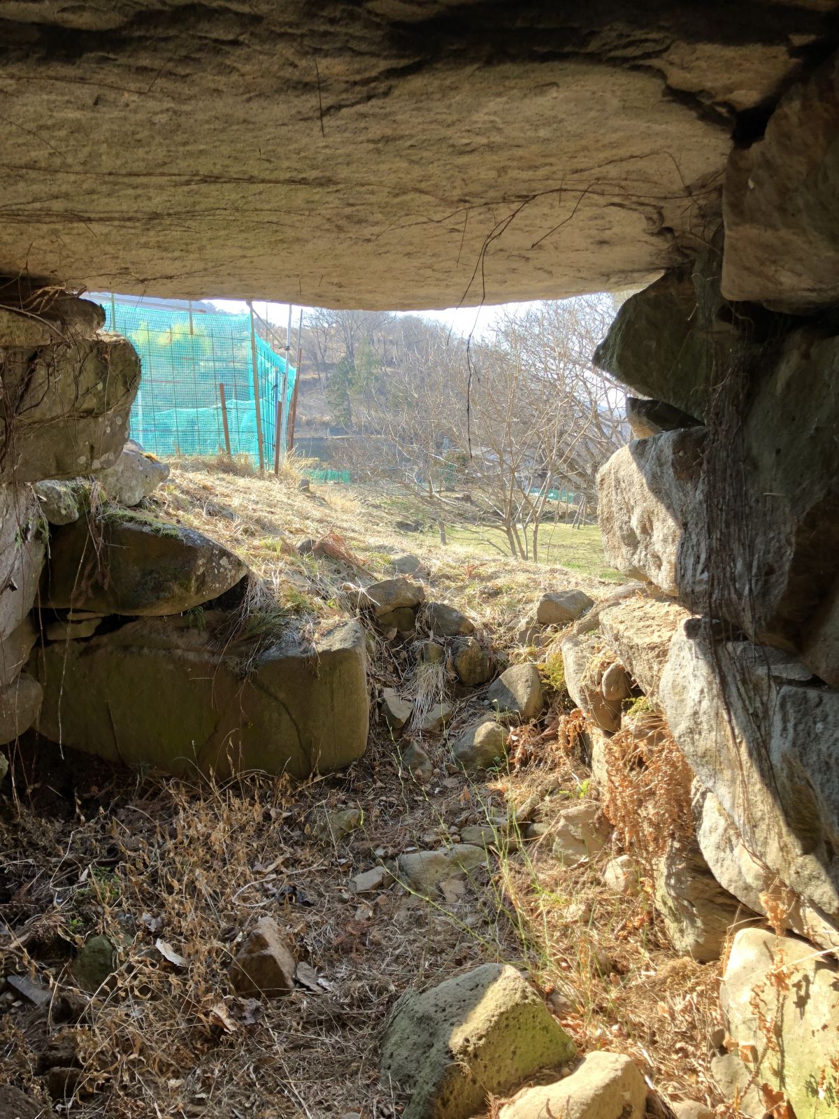 入口側から奥壁部を撮影