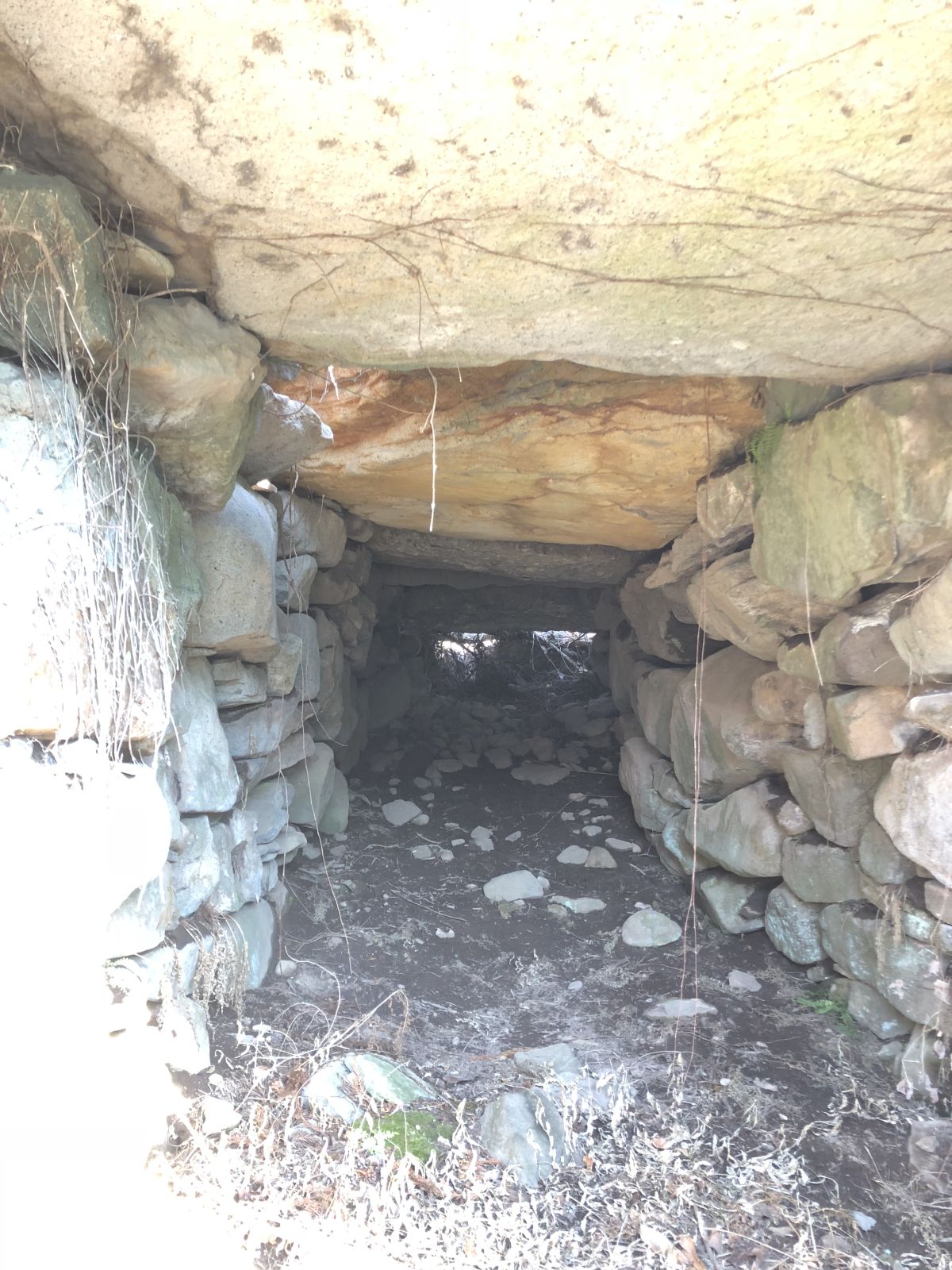 奥壁側から撮影