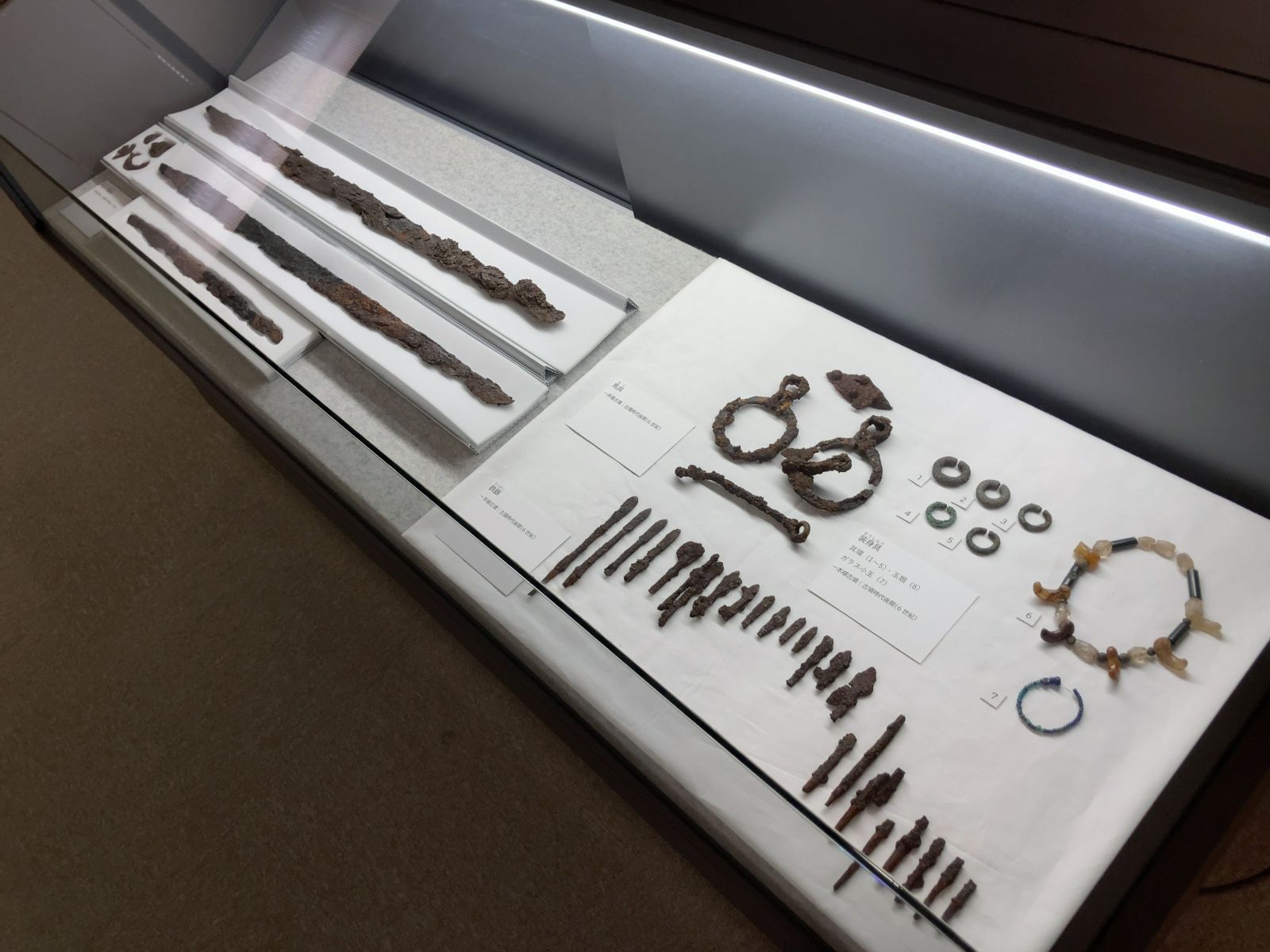 20251024 八ヶ岳総合博物館