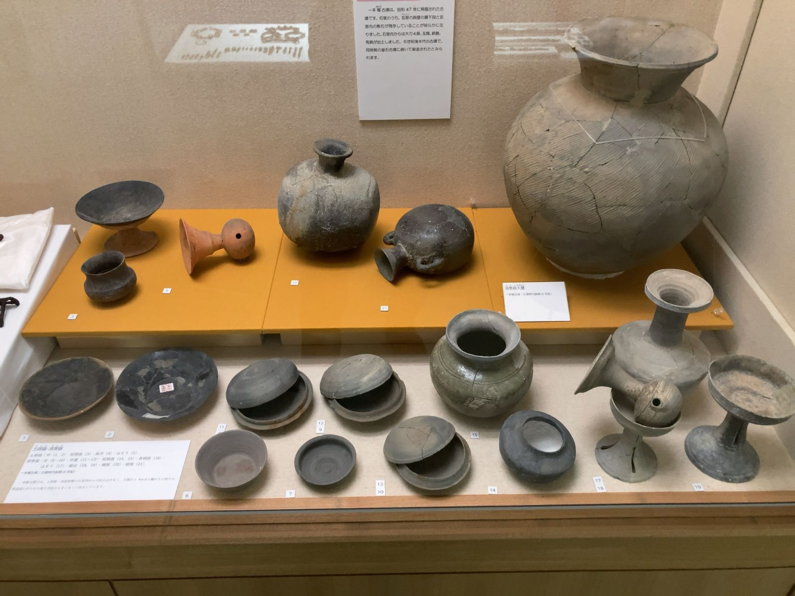 20251024 八ヶ岳総合博物館