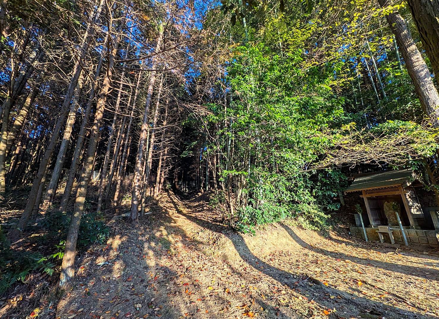 赤井塚古墳 周辺１