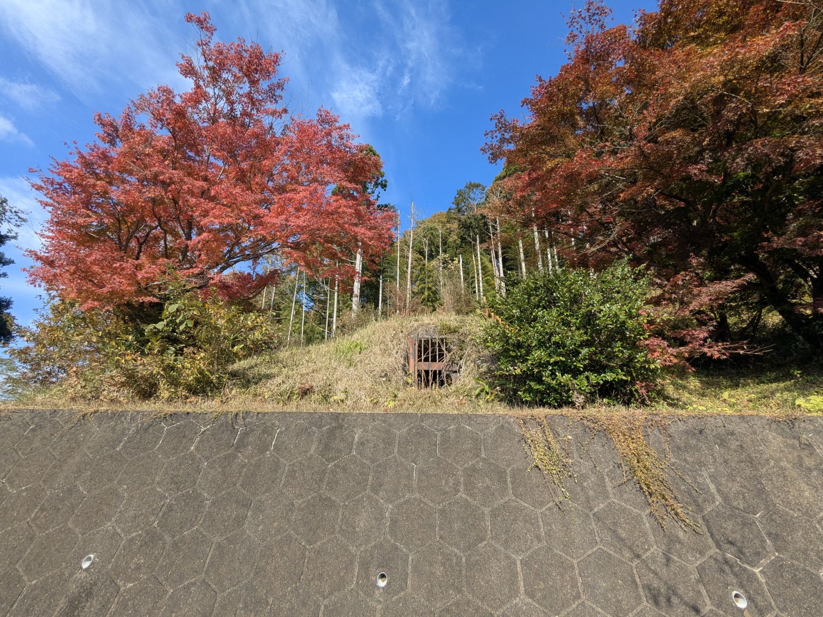 南方向から見た墳丘