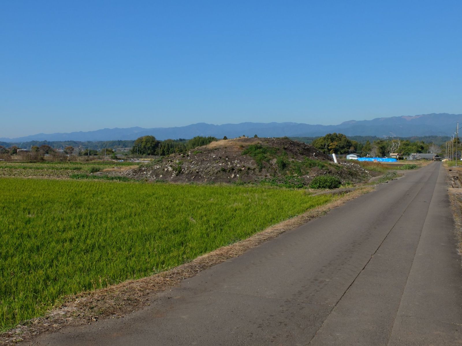 一番東にある。傾いた標柱有り