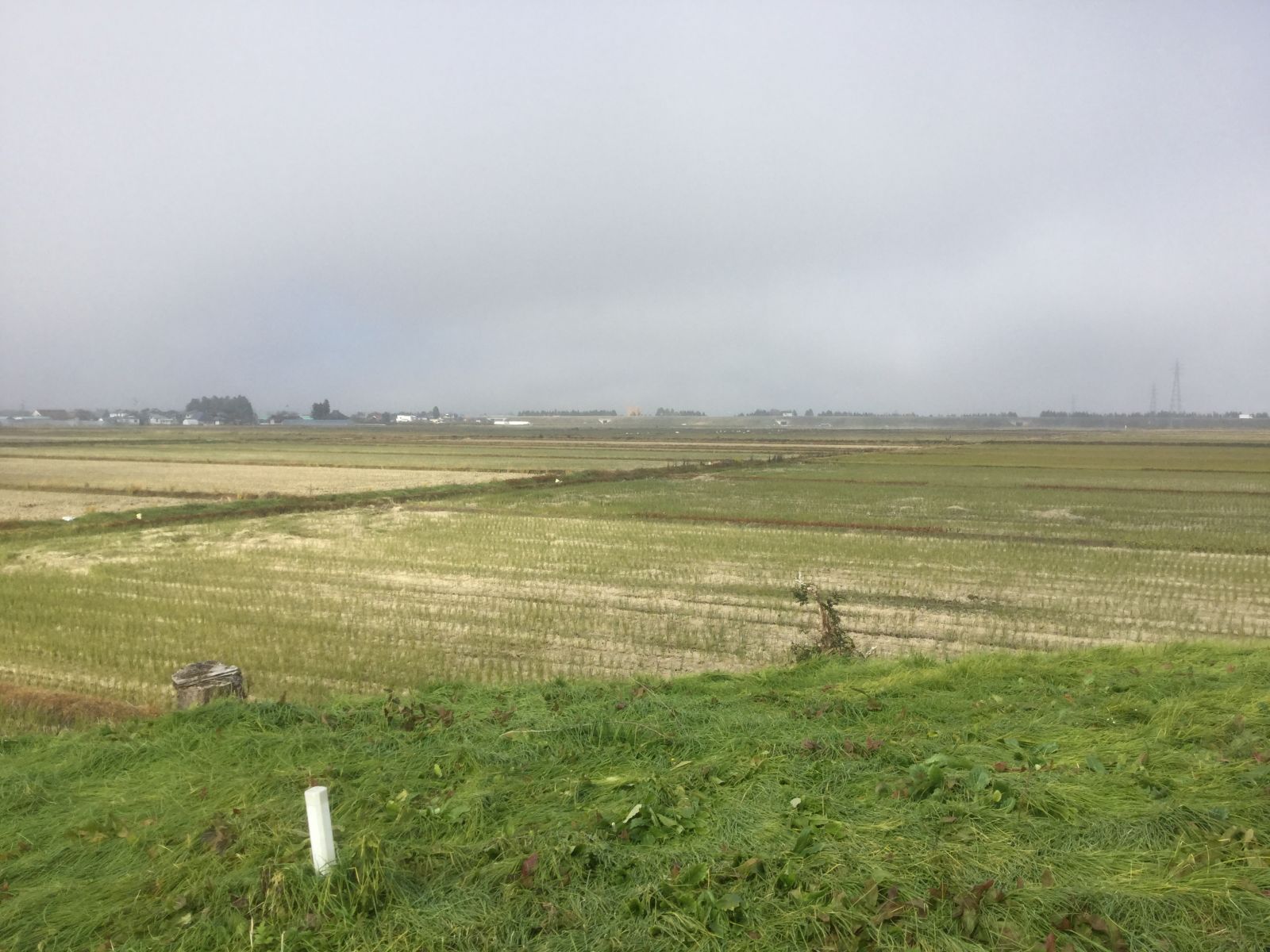 古墳から北方を見る