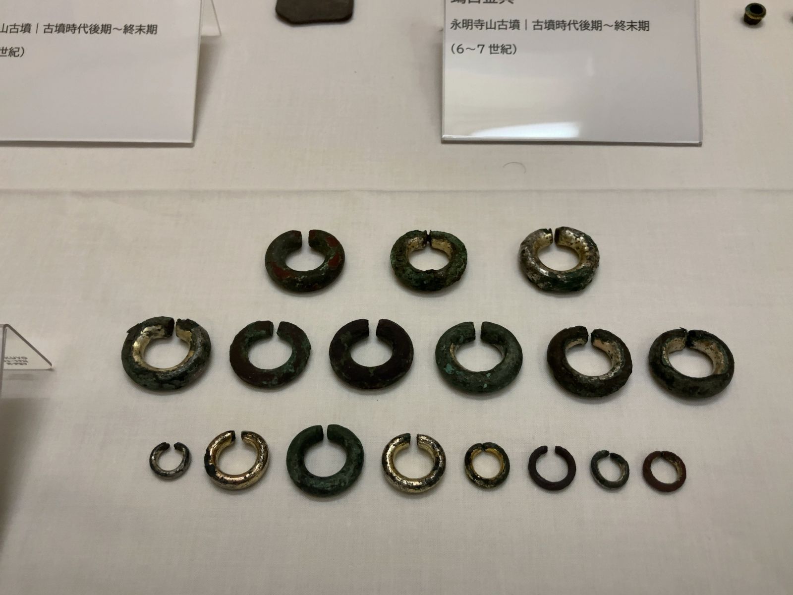 20251024 八ヶ岳総合博物館