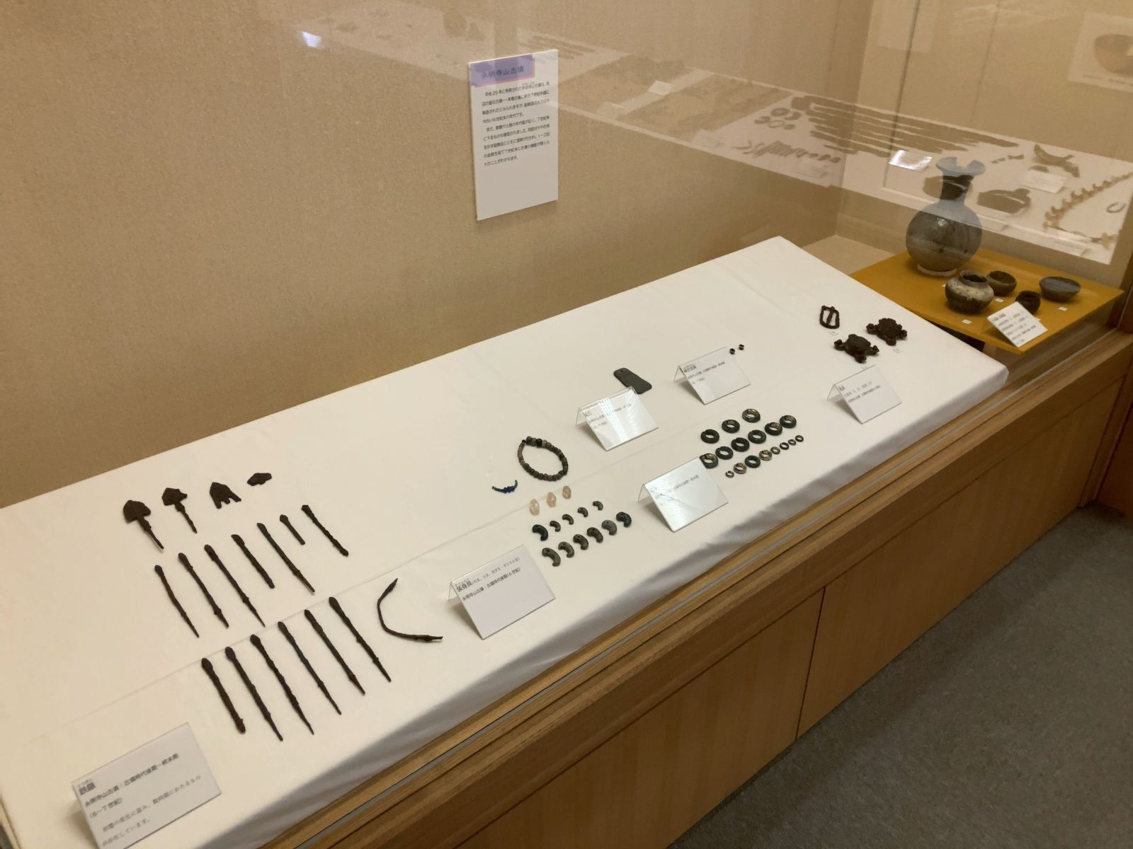 20251024 八ヶ岳総合博物館
