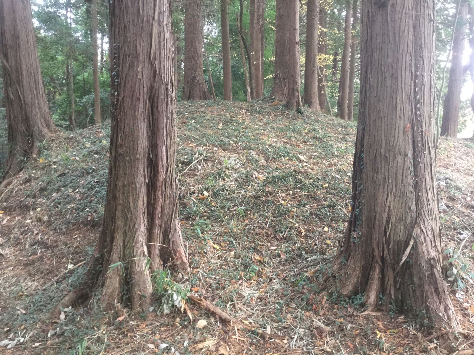 説明板近くの？号墳その1