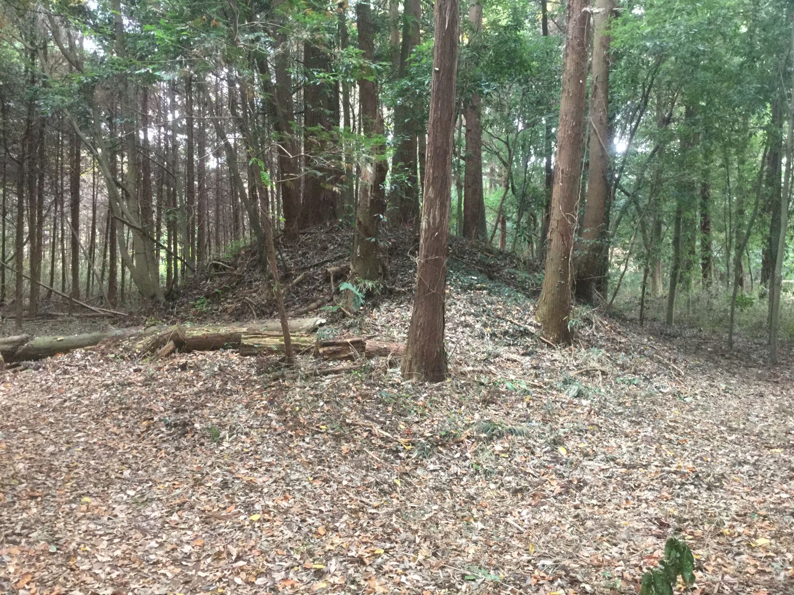 説明板近くの？号墳その2