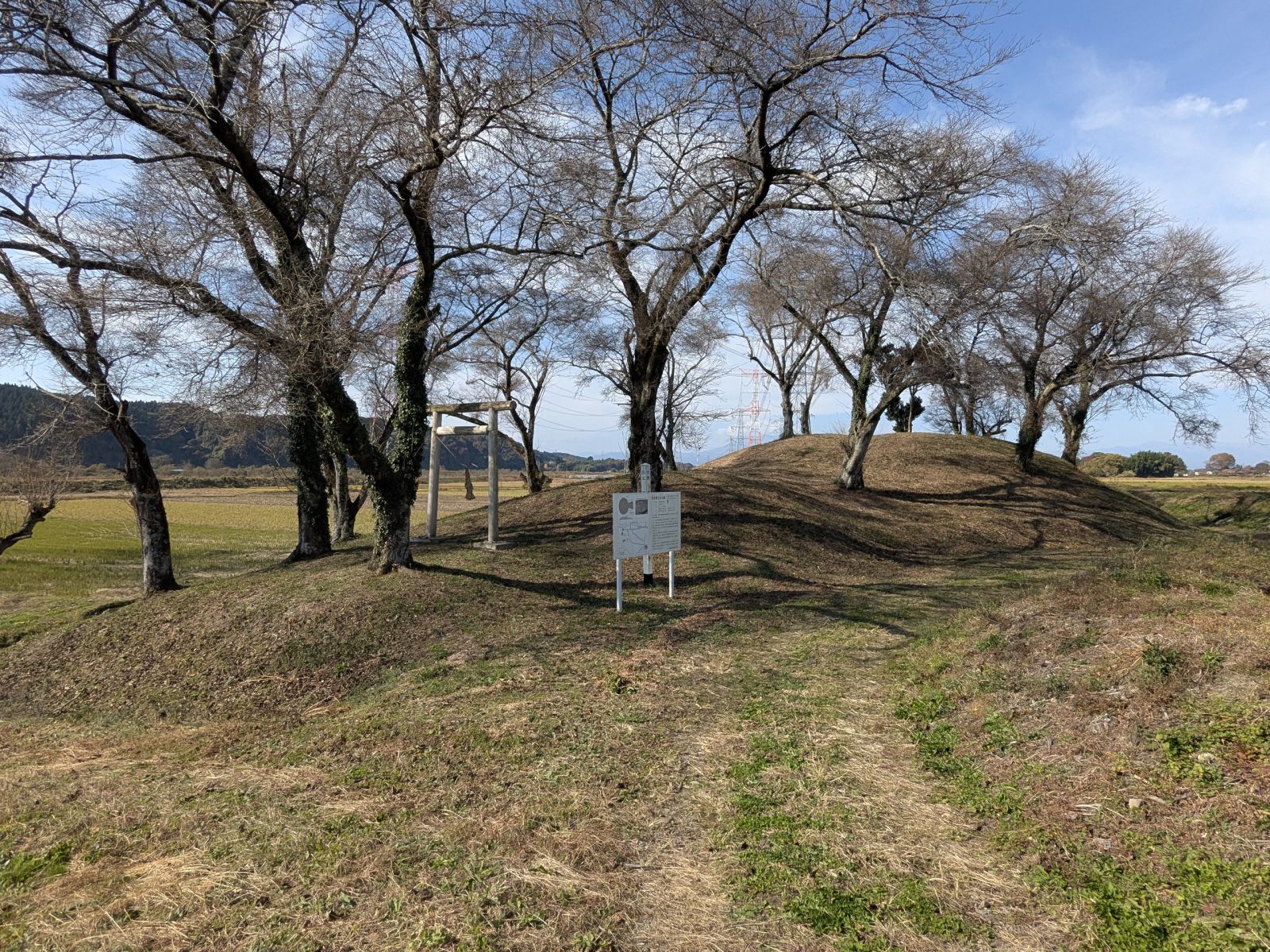 東方向から見た墳丘