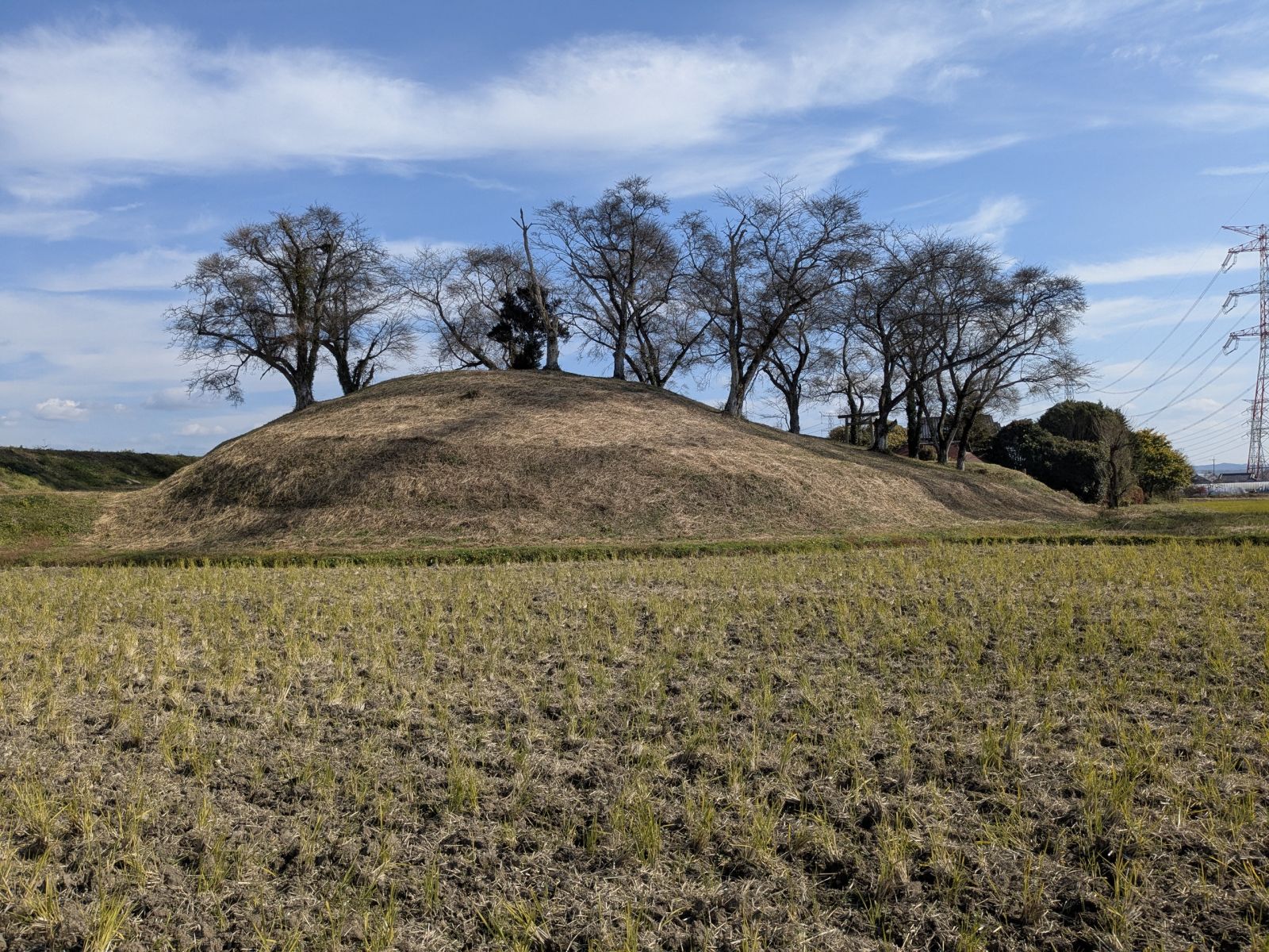 西方向から見た墳丘