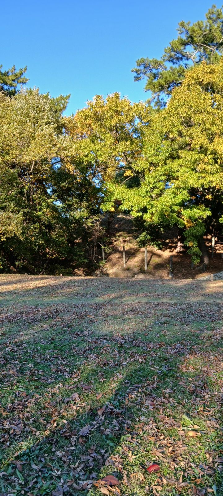 横から見る竜佐山古墳