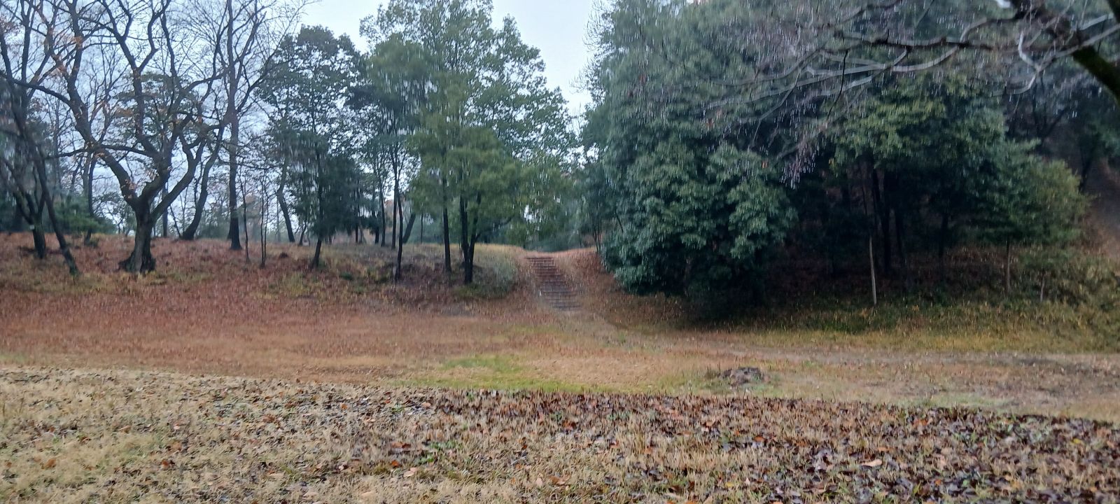 横から見る白鳥塚古墳