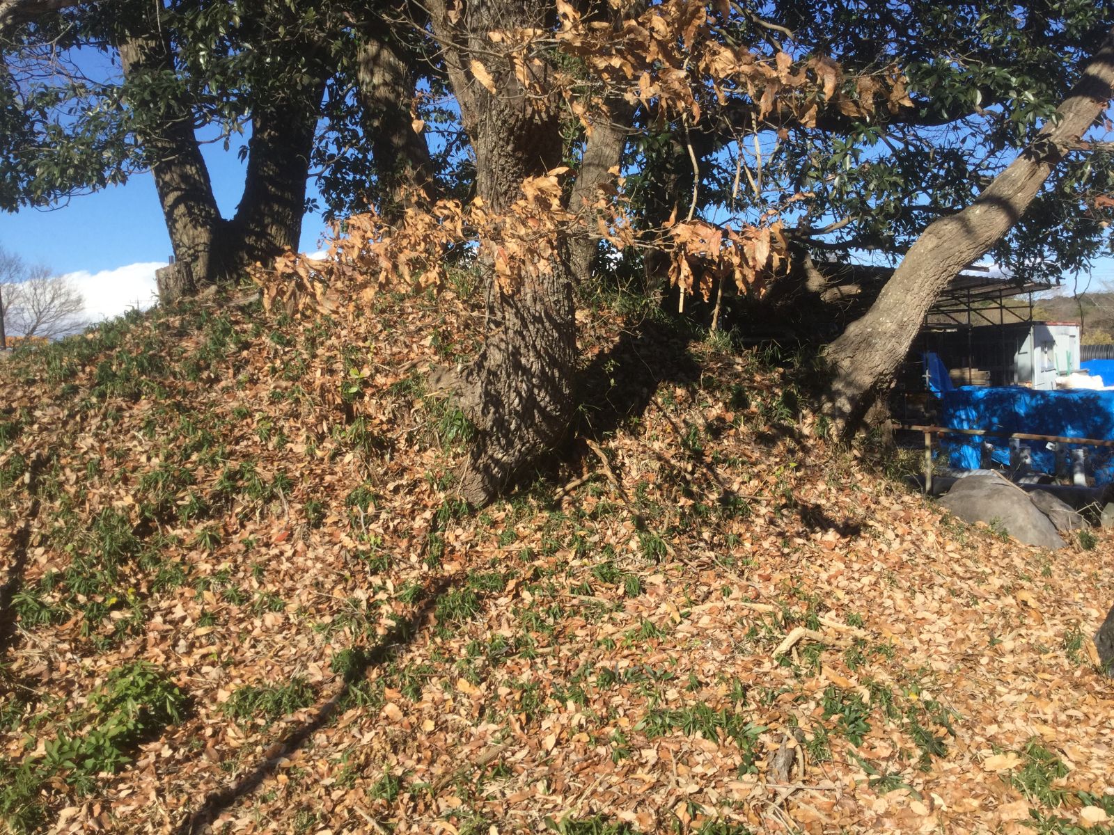 20号墳接近画像