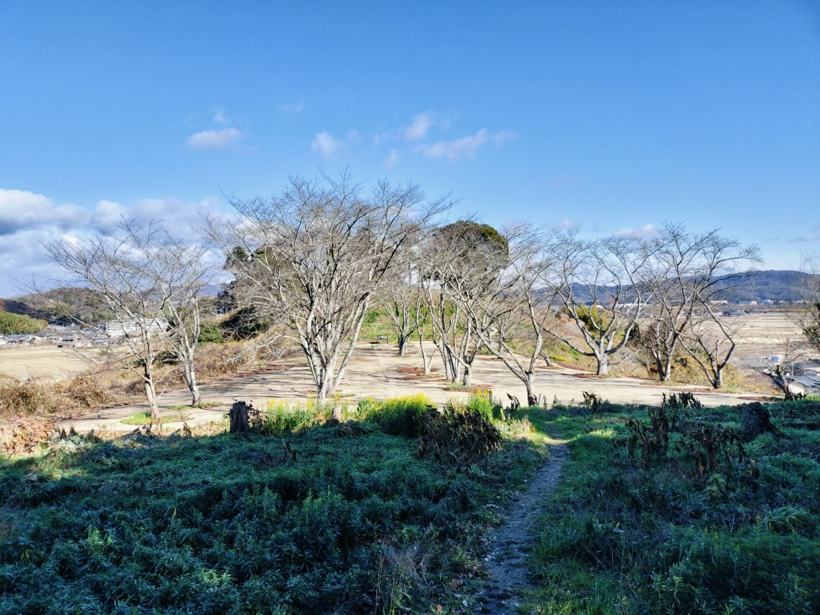 前方部から後円部を眺めました