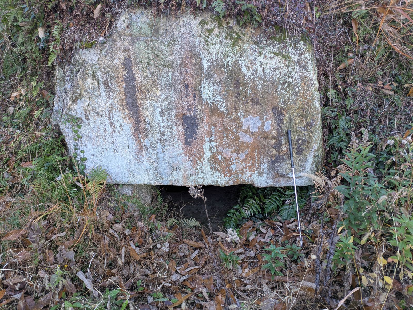 定年再雇用組にはちょっとキツイ