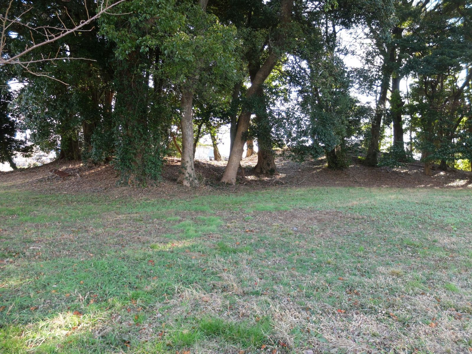 小田茶臼塚古墳(北東側)