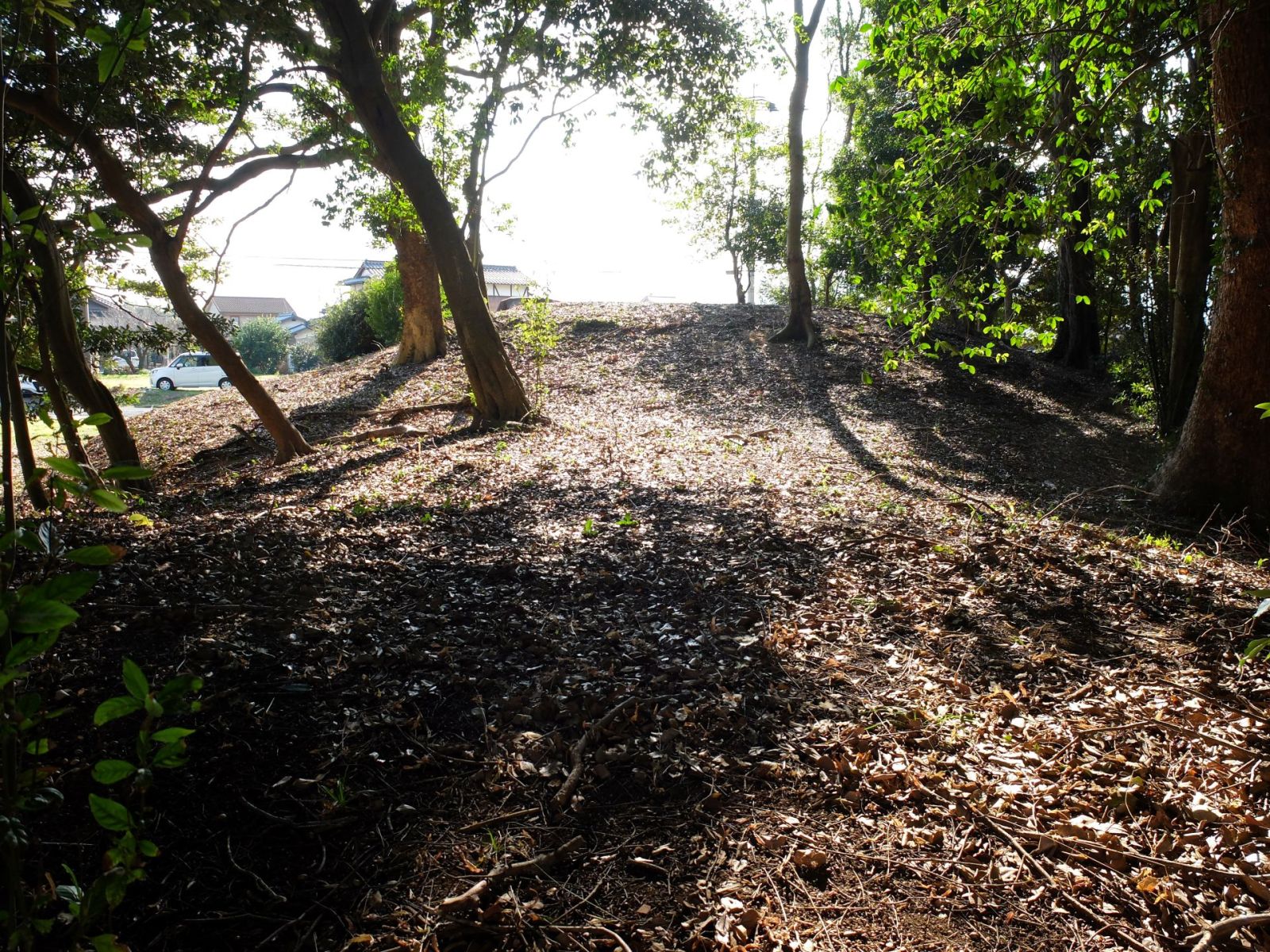 前方側より後円部