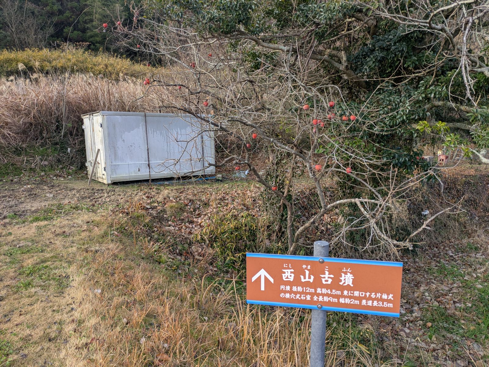 案内標識を新設