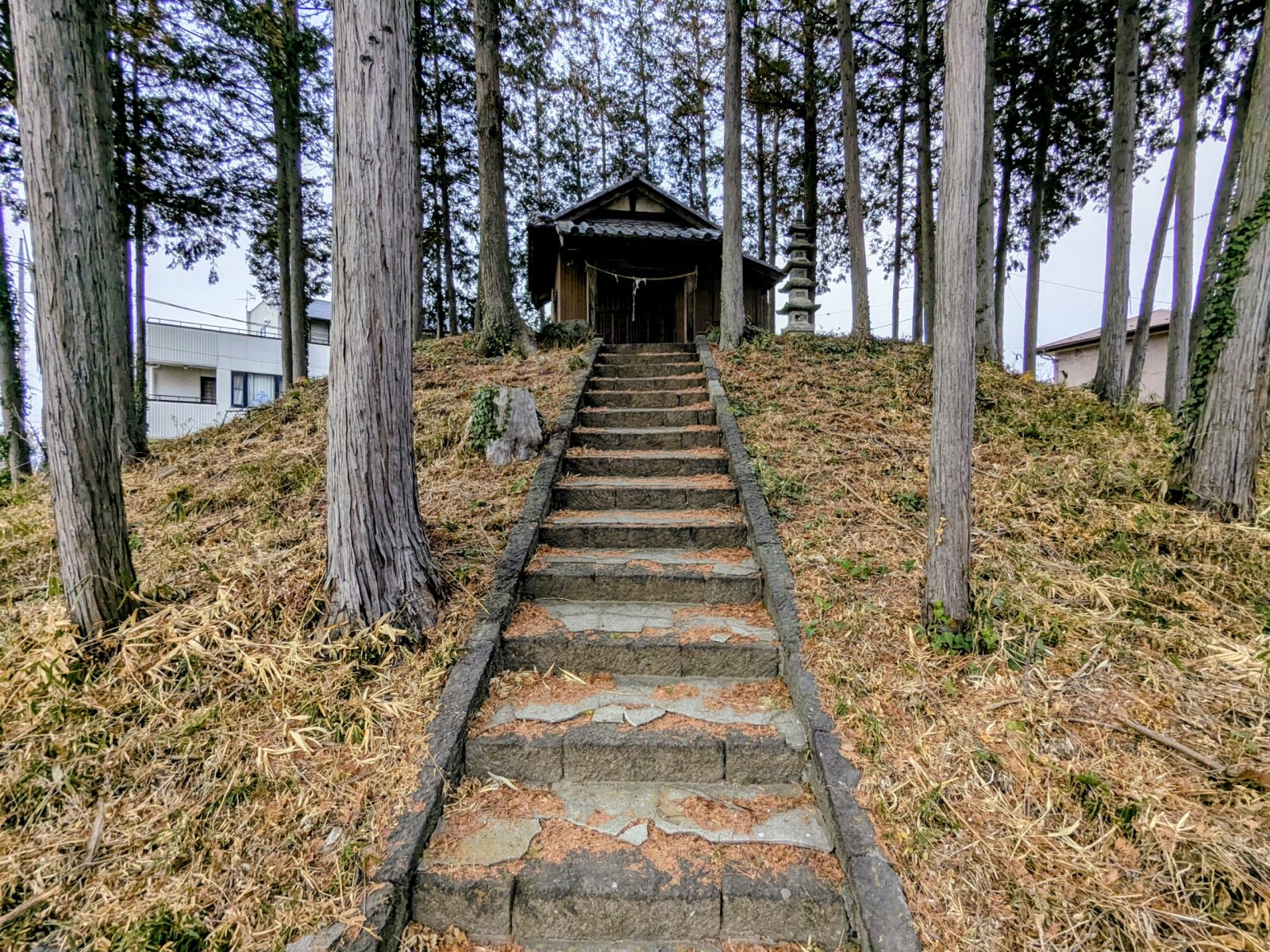 南方向から見た墳丘