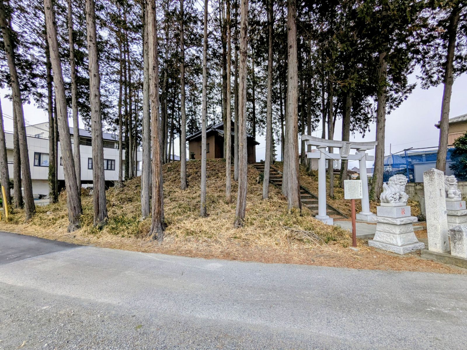 西方向から見た墳丘