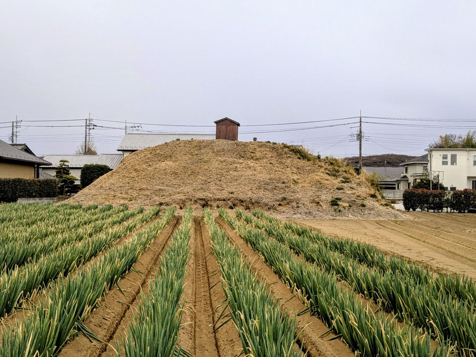 北方向から見た墳丘