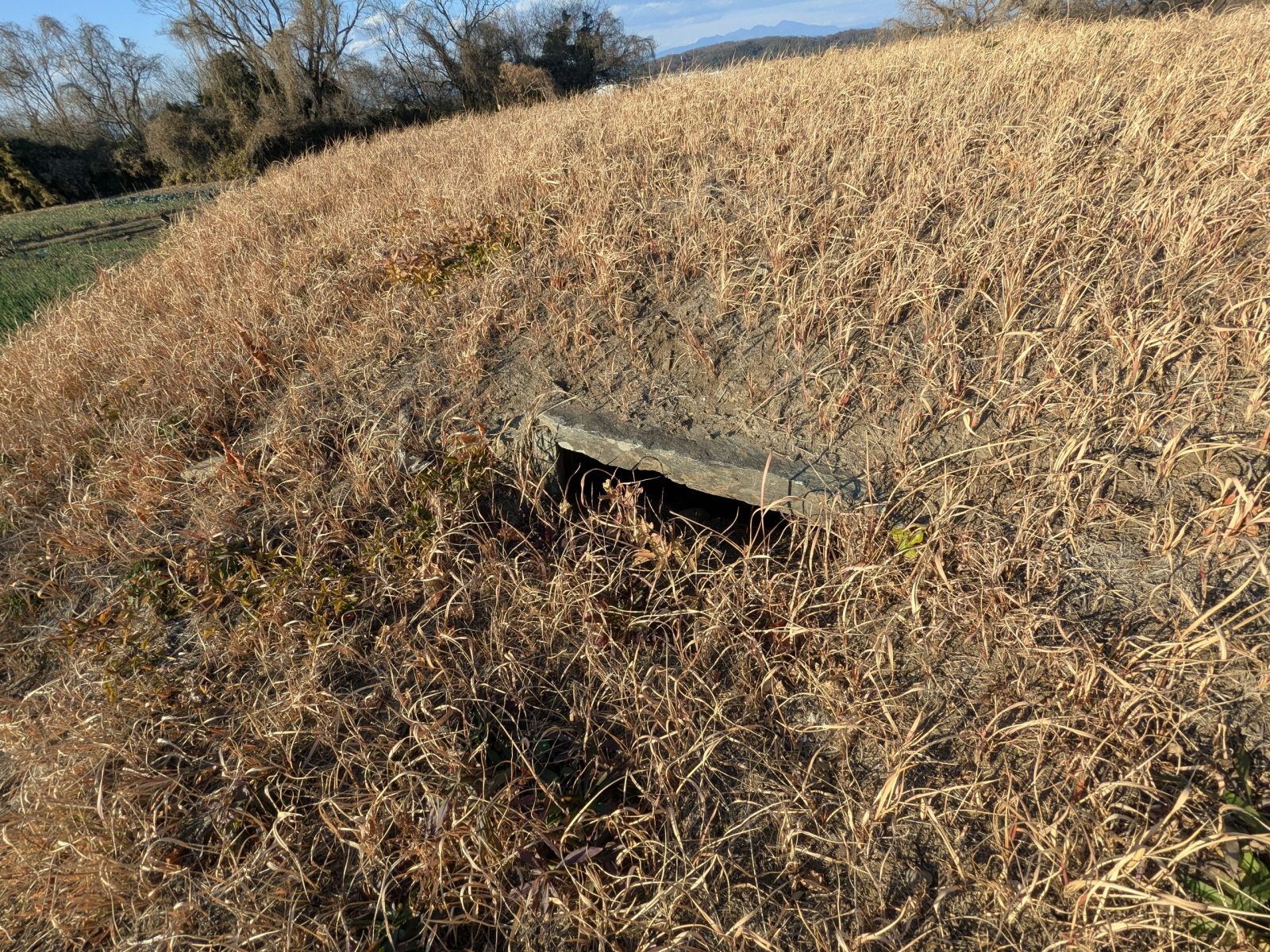 石室開口部の上方にある開口部