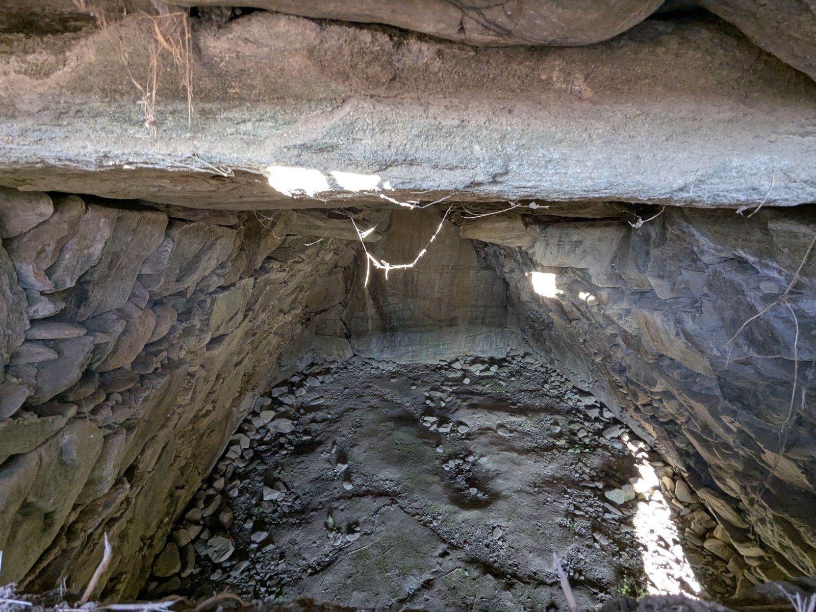 上部の開口部から見た玄室