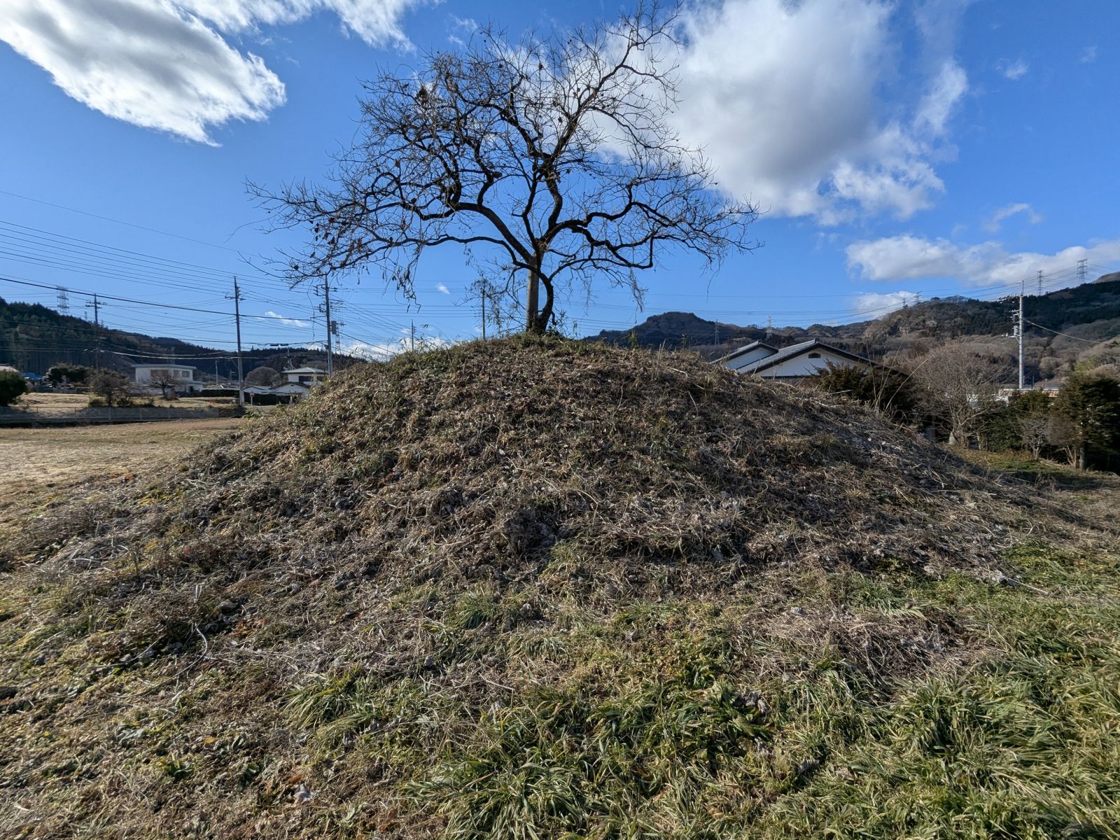 東方向から見た墳丘