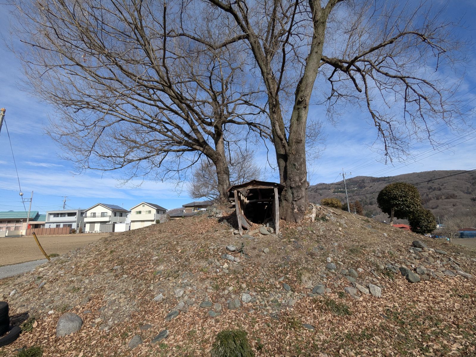 西方向から見た墳丘