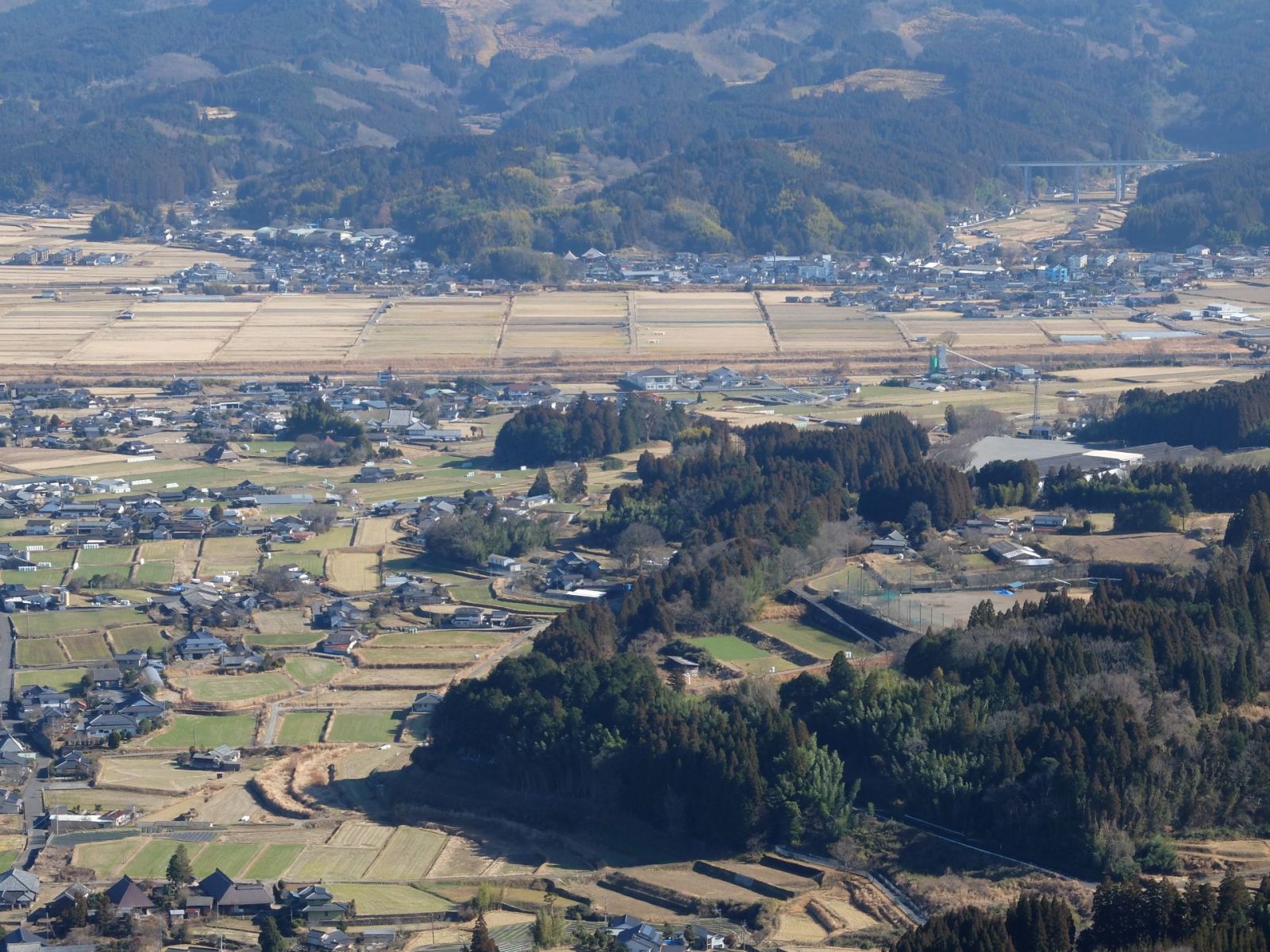 切株山から御神木が見える