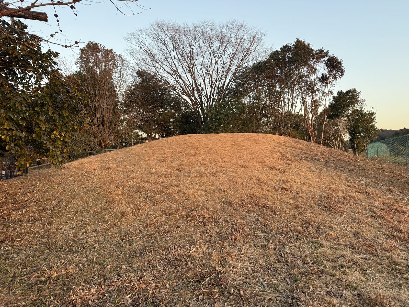 保存された古墳①