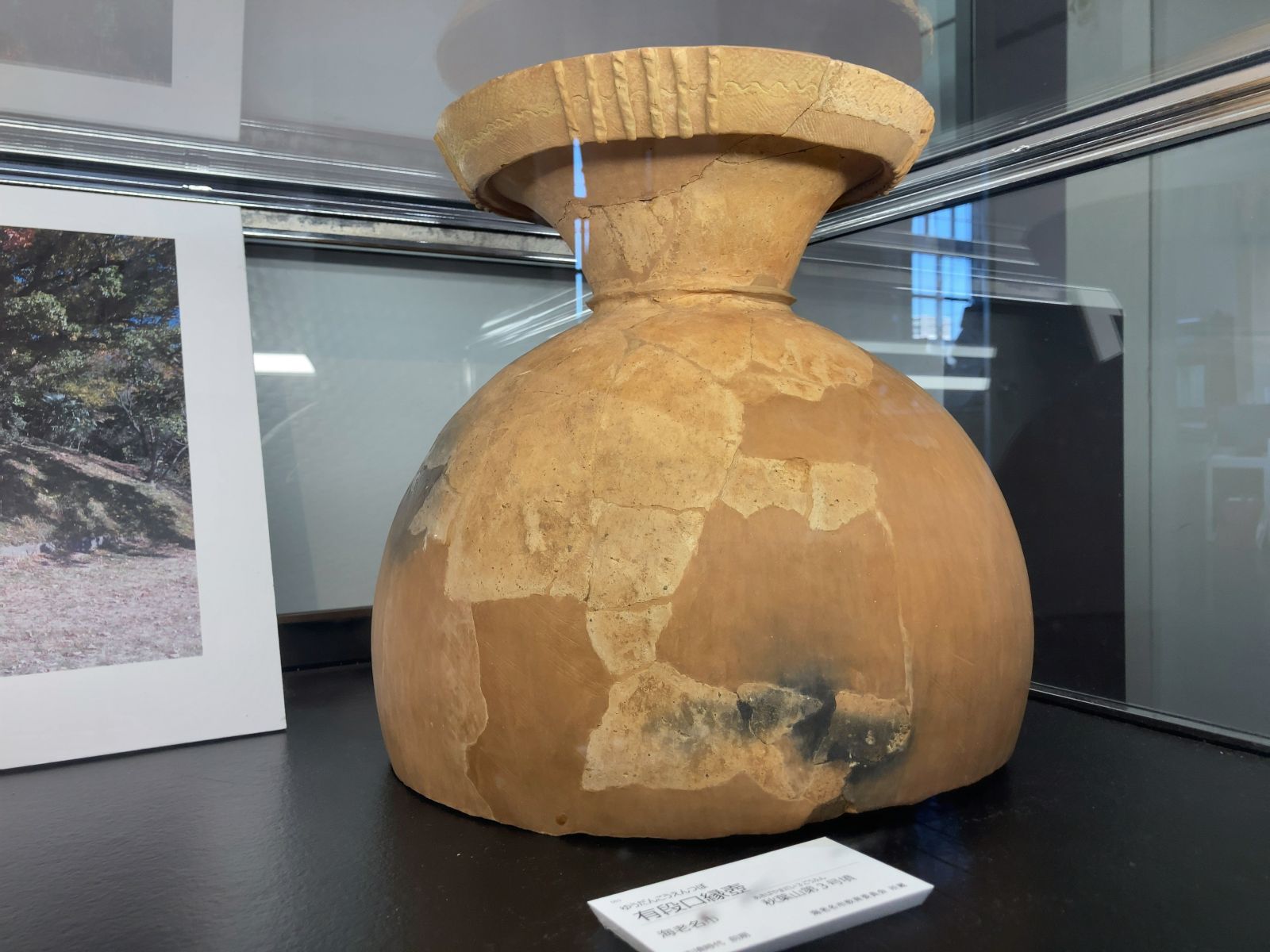 2025.12 海老名市温故館