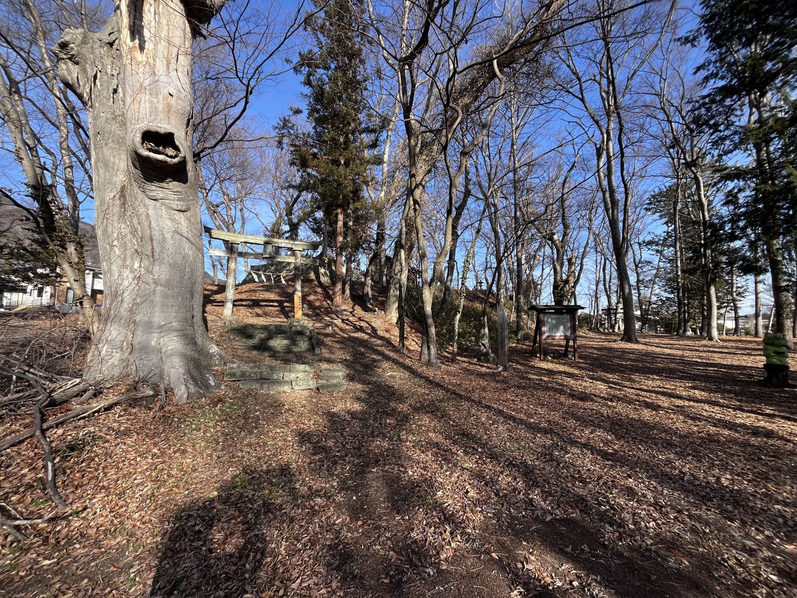 前方部南西より