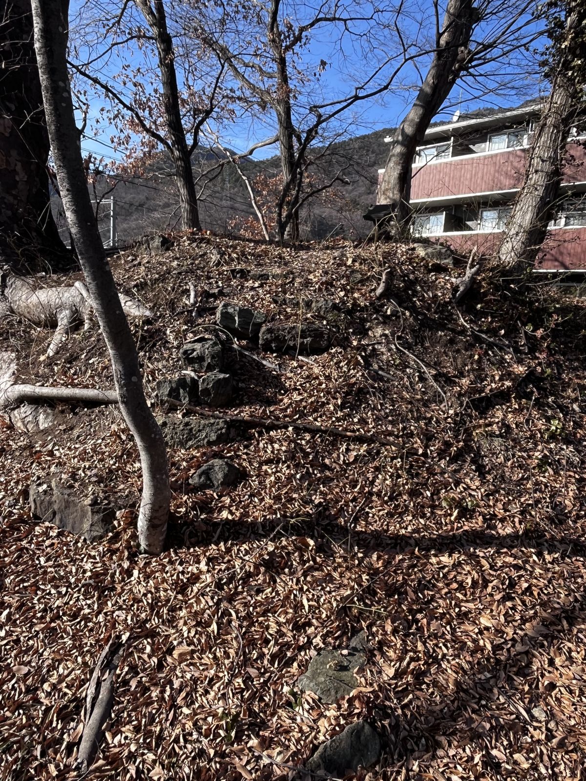 陪塚の横穴式石室?