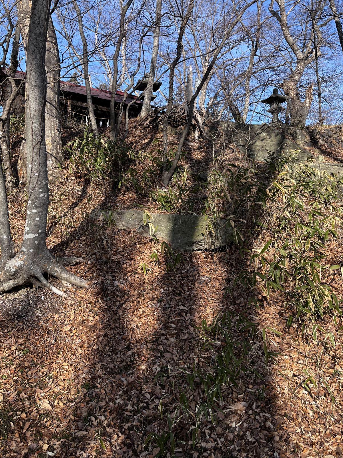 後円部南に露出する天井石