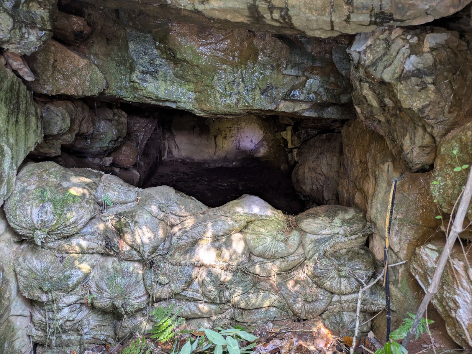 足が震えています。