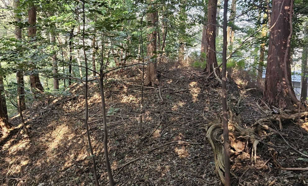 墳丘らしき高まり