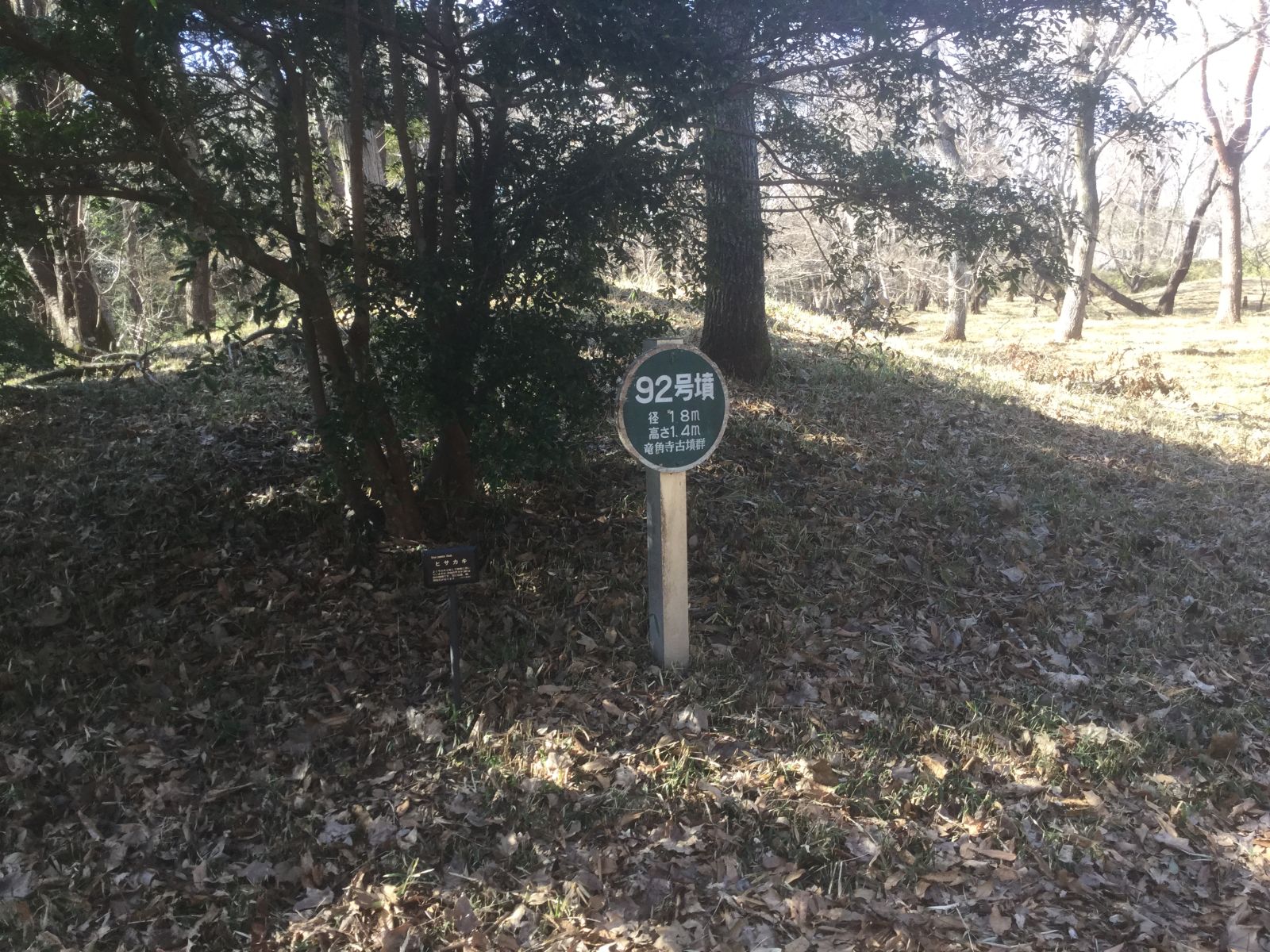 2026年3月8日の古墳